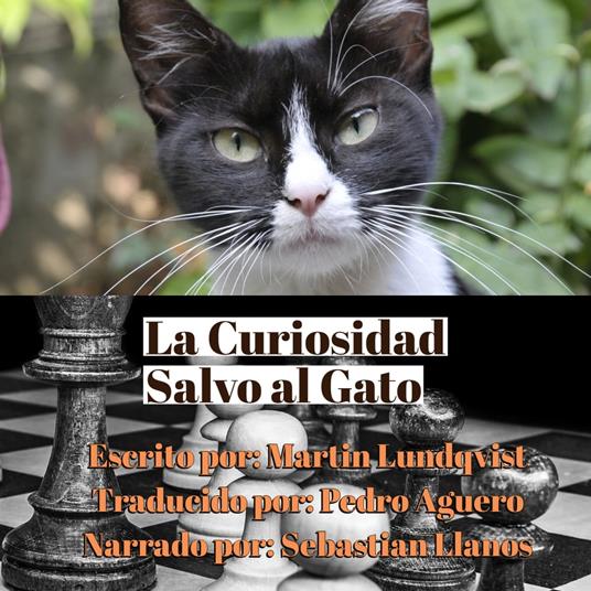 La Curiosidad Salvo el Gato.