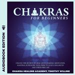 Chakras for Beginners