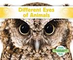 Different Eyes of Animals
