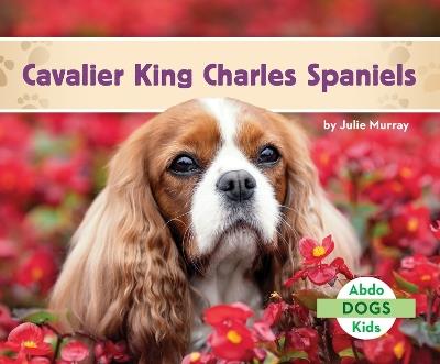 Cavalier King Charles Spaniels - Julie Murray - cover