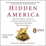 Hidden America