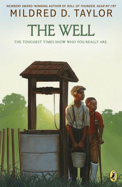 The Well - Mildred D. Taylor - ebook