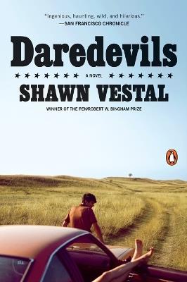 Daredevils - Shawn Vestal - cover