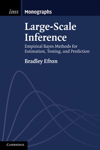 Large-Scale Inference