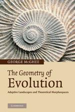 The Geometry of Evolution: Adaptive Landscapes and Theoretical Morphospaces