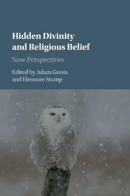 Hidden Divinity and Religious Belief: New Perspectives - cover