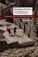 Economy of Force: Counterinsurgency and the Historical Rise of the Social - Patricia Owens - cover