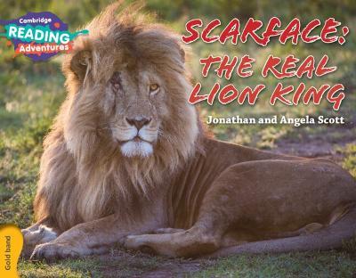 Cambridge Reading Adventures Scarface: The Real Lion King Gold Band - Jonathan and Angela Scott - cover