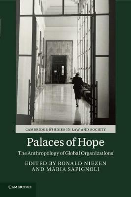 Palaces of Hope: The Anthropology of Global Organizations - cover