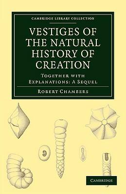 Vestiges of the Natural History of Creation: Together with Explanations: A Sequel - Robert Chambers - cover