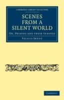 Scenes from a Silent World: Or, Prisons and their Inmates - Felicia Skene - cover