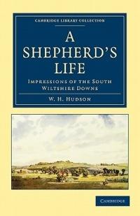 A Shepherd's Life: Impressions of the South Wiltshire Downs - William Henry Hudson - cover