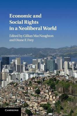 Economic and Social Rights in a Neoliberal World - cover