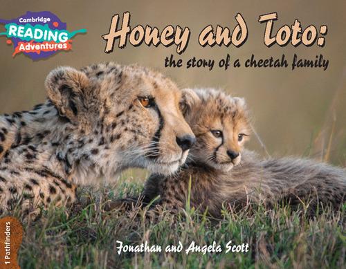 Cambridge Reading Adventures Honey and Toto: The Story of a Cheetah Family 1 Pathfinders - Jonathan and Angela Scott - cover