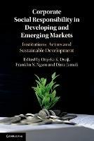 Corporate Social Responsibility in Developing and Emerging Markets: Institutions, Actors and Sustainable Development