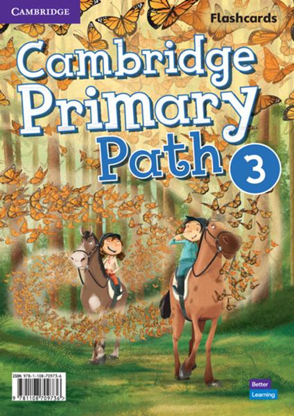 Cambridge Primary Path Level 3 Flashcards - cover