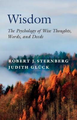 Wisdom: The Psychology of Wise Thoughts, Words, and Deeds - Robert J. Sternberg,Judith Gluck - cover
