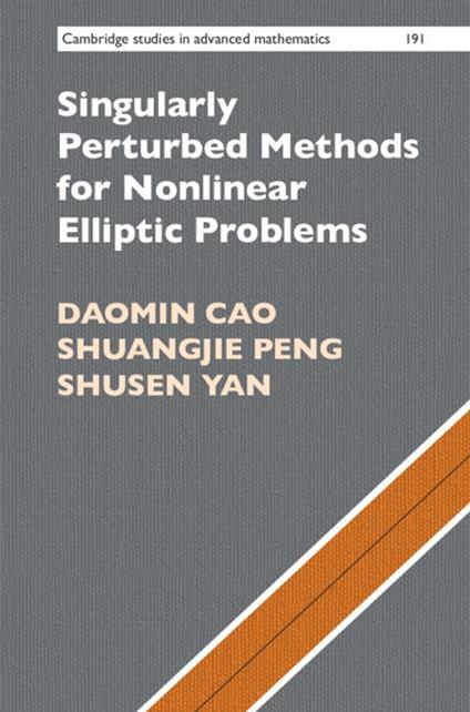 Singularly Perturbed Methods for Nonlinear Elliptic Problems