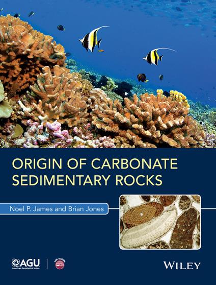 Origin of Carbonate Sedimentary Rocks - Noel P. James,Brian Jones - cover