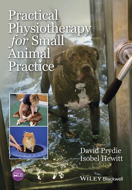 Practical Physiotherapy for Small Animal Practice - David Prydie,Isobel Hewitt - cover