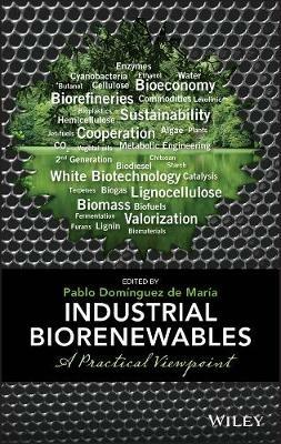 Industrial Biorenewables: A Practical Viewpoint - Pablo Dominguez de Maria - cover