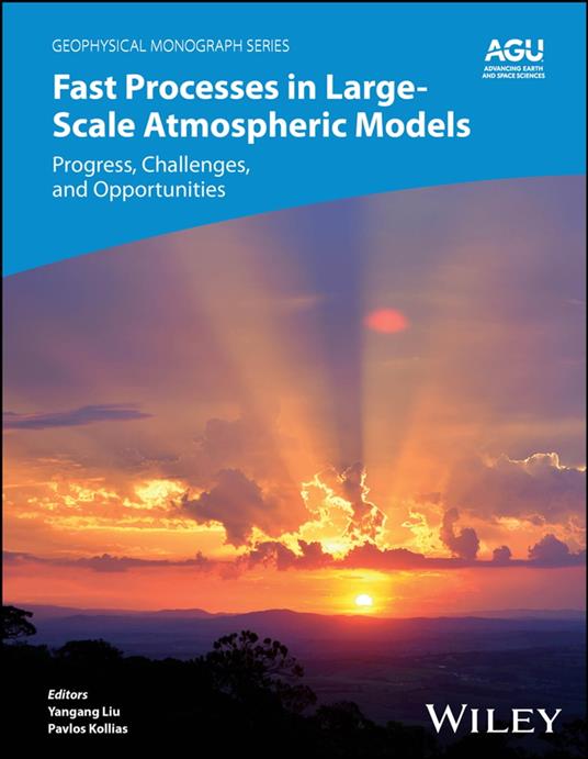 Fast Processes in Large-Scale Atmospheric Models