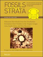 Ediacaran Microfossils from the Doushantuo Formation Chert Nodules in the Yangtze Gorges Area, South China, and New Biozones