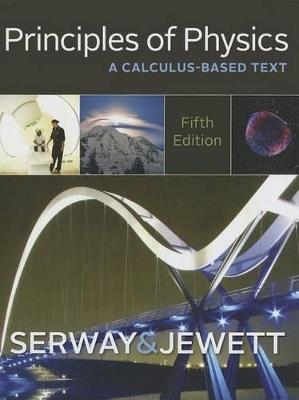 Principles of Physics : A Calculus-Based Text - Raymond Serway,John Jewett - cover