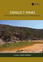 Derelict Mines: Environmental Risk Assessment and Management