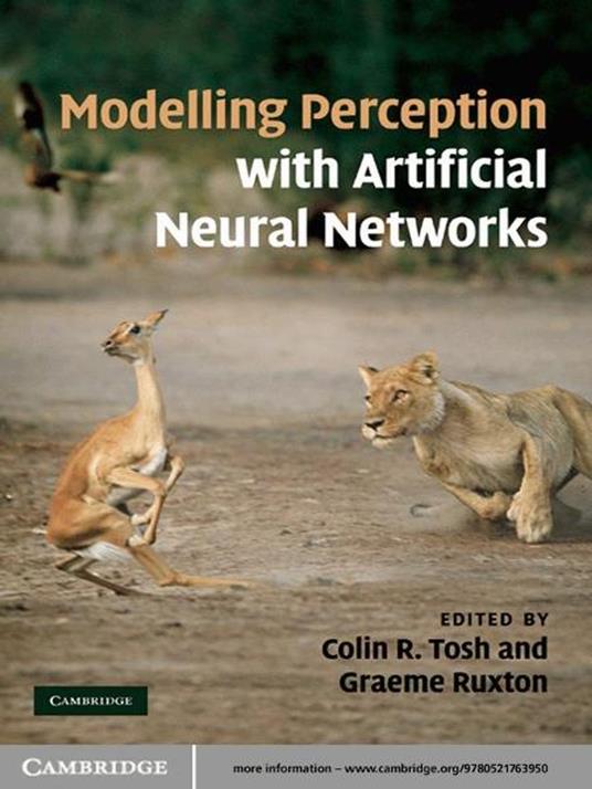 Modelling Perception with Artificial Neural Networks