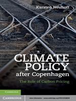 Climate Policy after Copenhagen