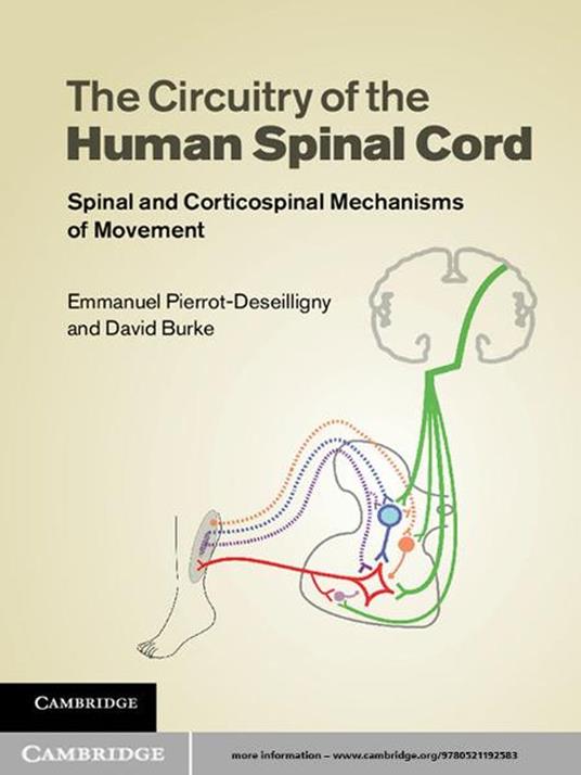 The Circuitry of the Human Spinal Cord