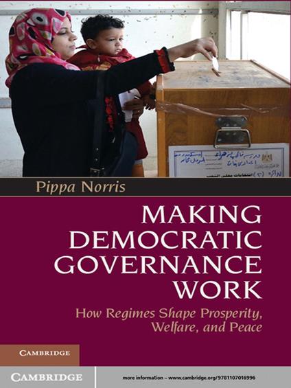 Making Democratic Governance Work