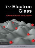 The Electron Glass