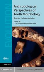 Anthropological Perspectives on Tooth Morphology