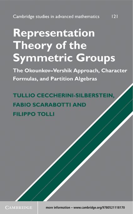 Representation Theory of the Symmetric Groups