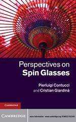 Perspectives on Spin Glasses