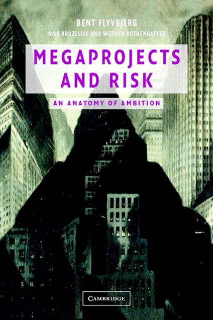 Megaprojects and Risk