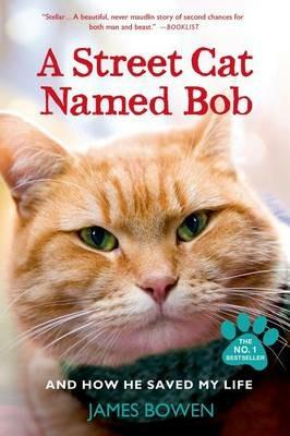 A Street Cat Named Bob and How He Saved My Life - James Bowen - cover