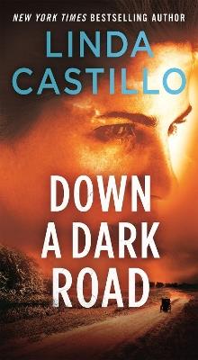 Down a Dark Road: A Kate Burkholder Novel - Linda Castillo - cover