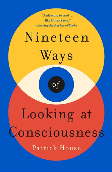 Nineteen Ways of Looking at Consciousness