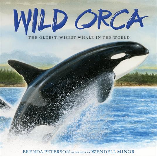 Wild Orca - Brenda Peterson,Wendell Minor - ebook