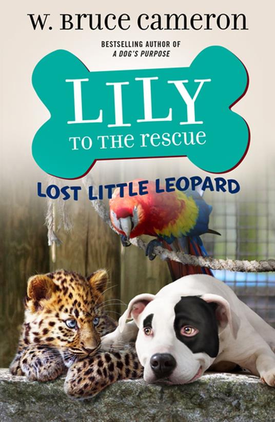 Lily to the Rescue: Lost Little Leopard - Bruce Cameron W.,James Bernardin - ebook