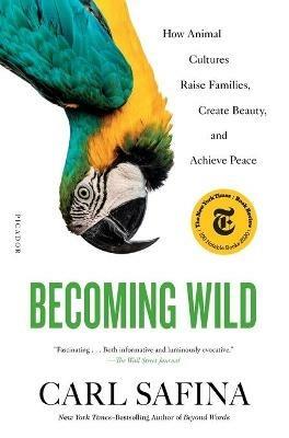 Becoming Wild: How Animal Cultures Raise Families, Create Beauty, and Achieve Peace - Carl Safina - cover