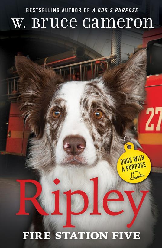 Ripley: Fire Station Five - Bruce Cameron W. - ebook