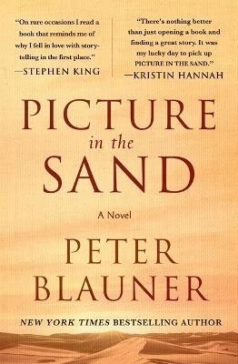 Picture in the Sand - Peter Blauner - cover