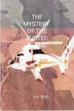 The Mystery of the Rusted Plane