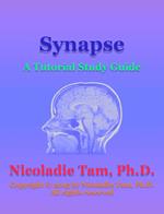 Synapse: A Tutorial Study Guide