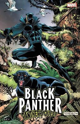 Black Panther: Panther's Quest - Don McGregor - cover