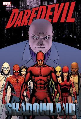 Daredevil: Shadowland Omnibus Cassaday Cover (New Printing) - Andy Diggle,Antony Johnston,Zeb Wells - cover